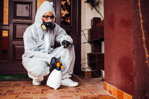 Reliable Ant Control contractor in Oskaloosa, IA by Show Me Pest Control